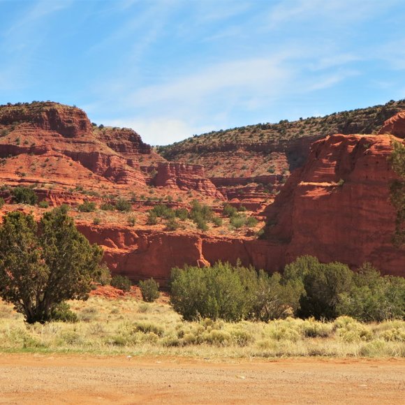 Meet your Posher, Lori - Picture 2 of 9